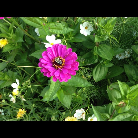 Meet your Posher, Margit - Picture 7 of 8